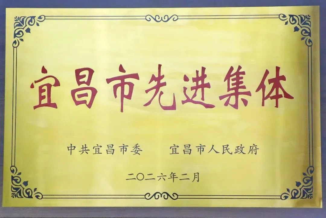 bwin中国官网集团荣获&ldquo;宜昌市先进集体&rdquo;称号